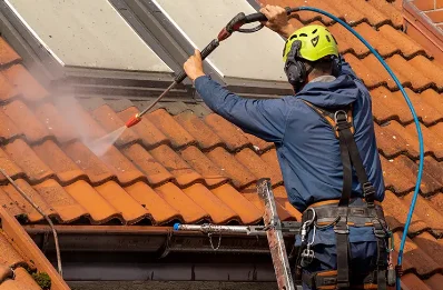 Démoussage et hydrofuge de toiture à Alleuze